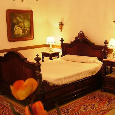 Terre Barcelos